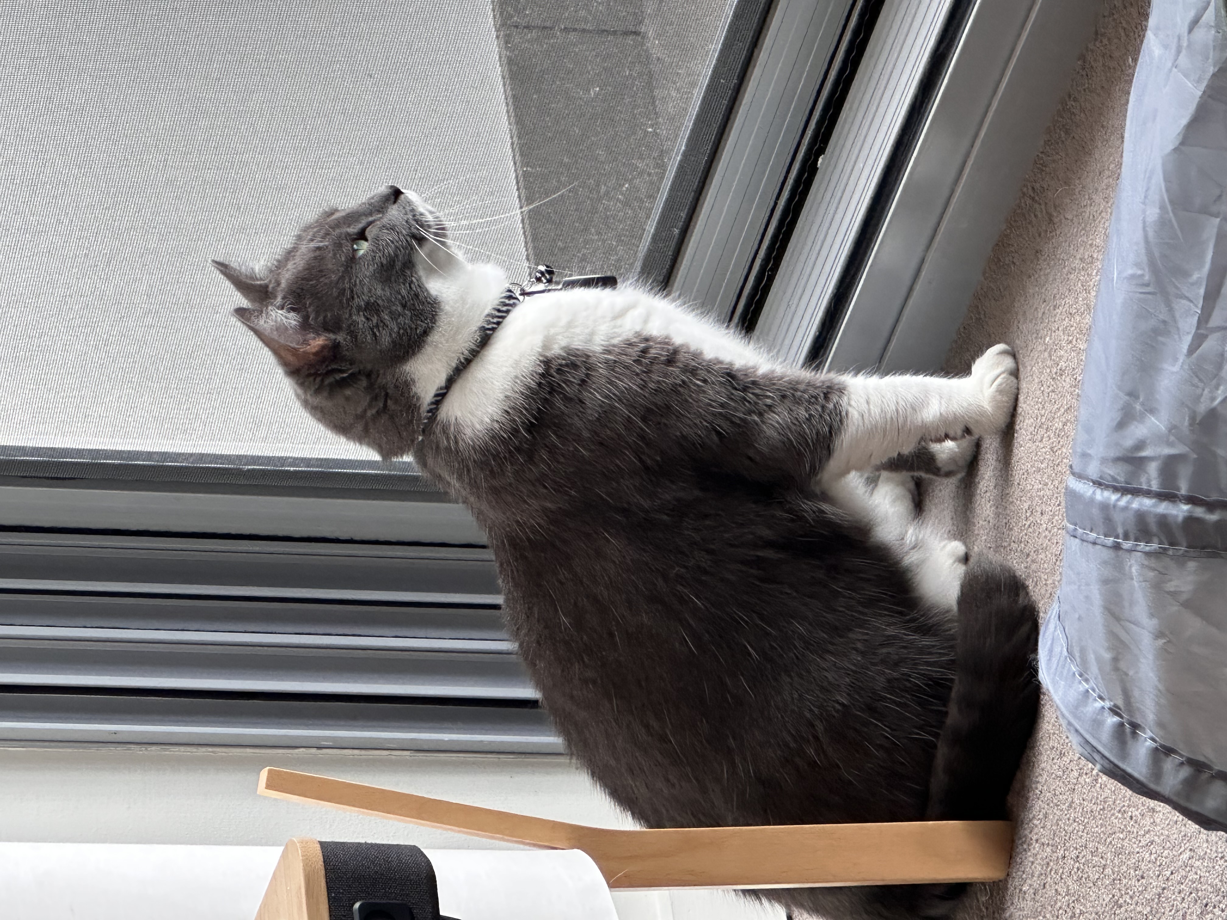 mmmm what's out there?