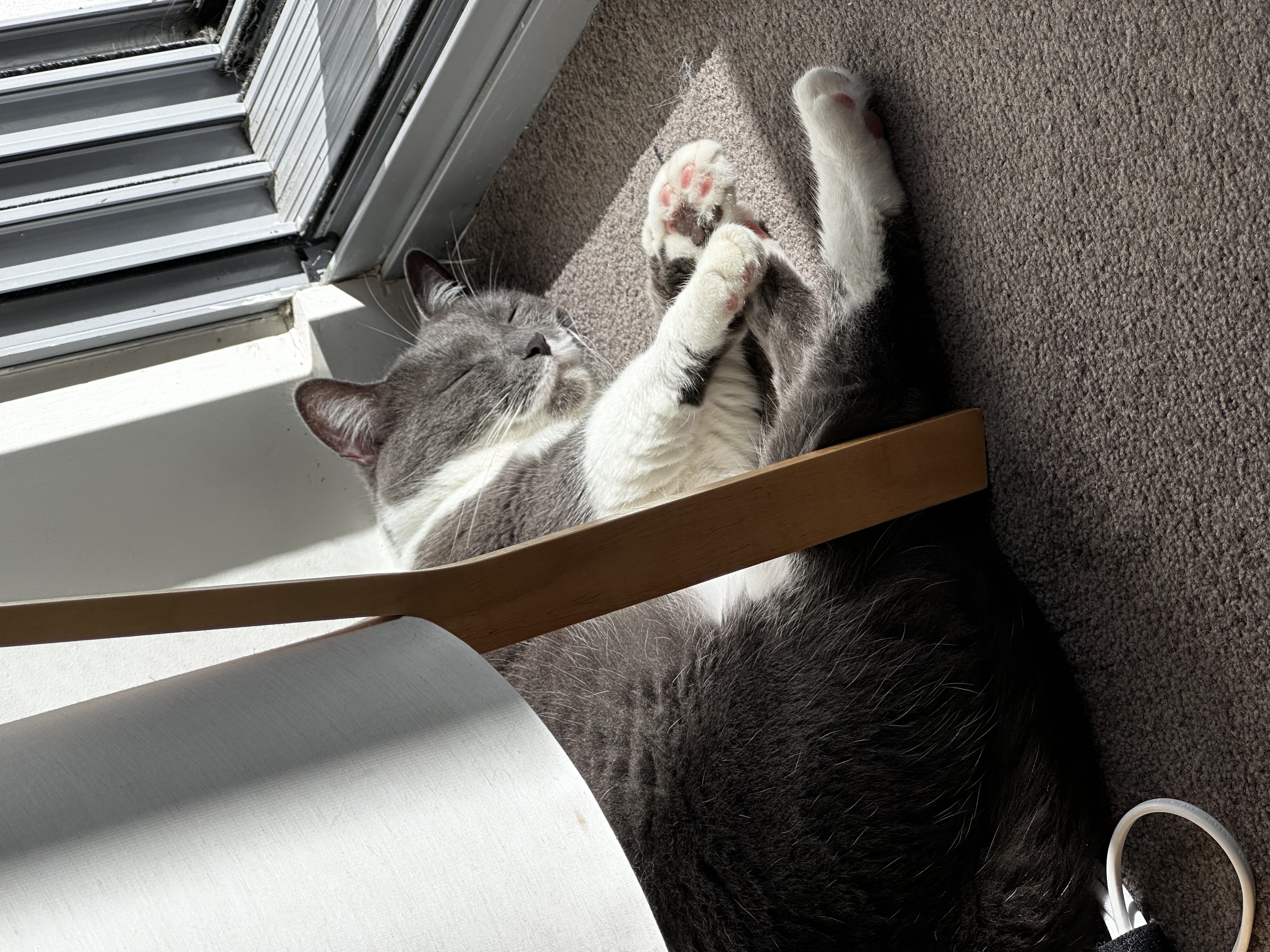 f...fi...fis....fish...