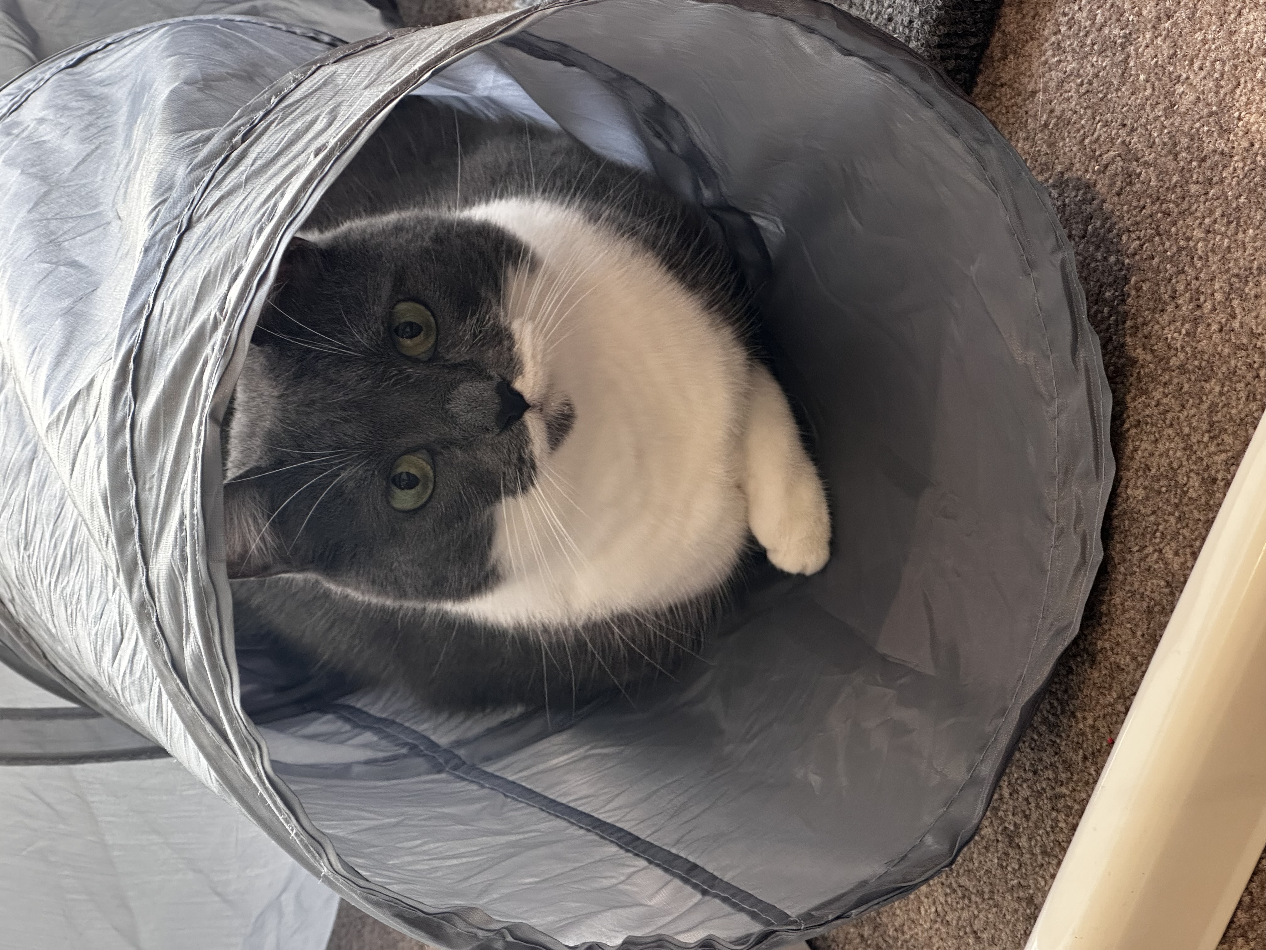 What? This is mine too!